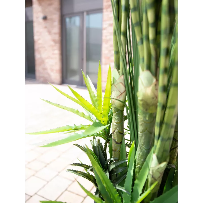 EUROPALMS Mistura de suculentas Planta artificial, 190cm 82600035
