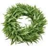 EUROPALMS Coroa de lavanda, 30 cm (83500504)
