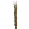 EUROPALMS Erva de caniço artificial, Caqui, 127 cm 82505853