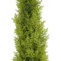 EUROPALMS Planta artificial cipreste Leyland, 120 cm, folhagem verde, vaso preto 82606964