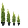 EUROPALMS Planta artificial cipreste Leyland, 120 cm, folhagem verde, vaso preto 82606964