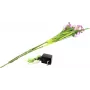 EUROPALMS Jarro-de-água conjunto de 3 com LEDs, Rosa, 85 cm 83330304