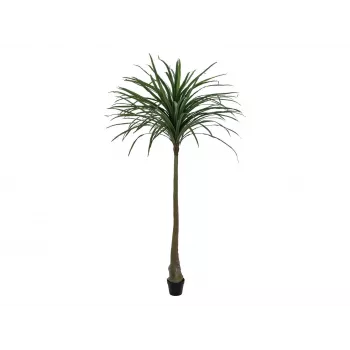 EUROPALMS Planta artificial dracena, Verde, 220 cm 82505798