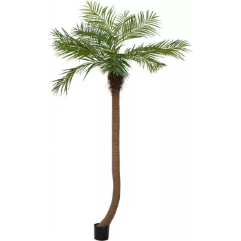 EUROPALMS Luxor Palmeira fénix artificial curvada, 240 cm 82510726