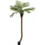 EUROPALMS Luxor Palmeira fénix artificial curvada, 240 cm 82510726