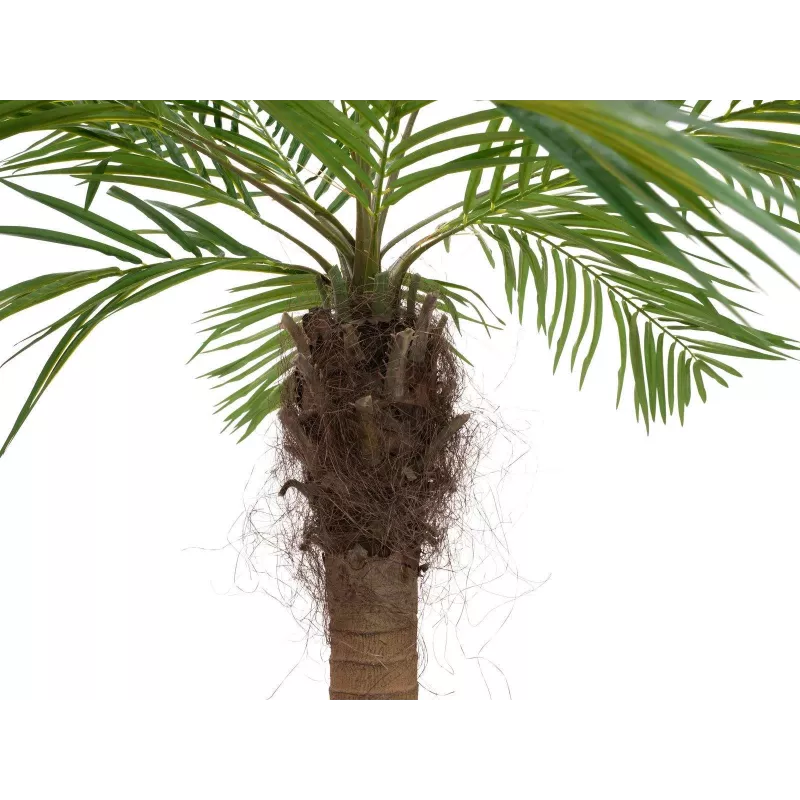 EUROPALMS Luxor Palmeira fénix artificial curvada, 240 cm 82510726