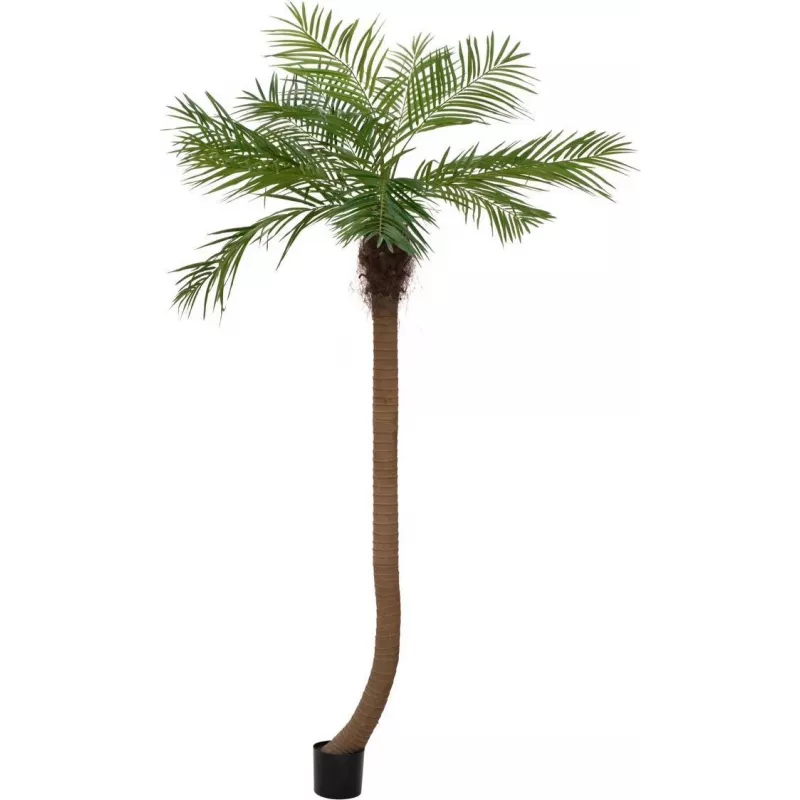 EUROPALMS Luxor Palmeira fénix artificial curvada, 240 cm 82510726