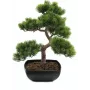 EUROPALMS Planta artificial bonsai pinheiro, 50 cm 82600110