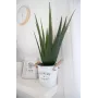 EUROPALMS Planta de Aloe Vera Artificial, 60 cm, Vaso Preto 82600167