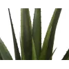 EUROPALMS Planta de Aloe Vera Artificial, 60 cm, Vaso Preto 82600167