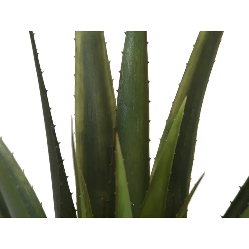 EUROPALMS Planta de Aloe Vera Artificial, 60 cm, Vaso Preto 82600167