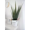 EUROPALMS Planta de Aloe Vera Artificial, 60 cm, Vaso Preto 82600167