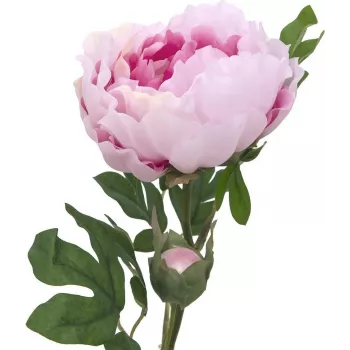 EUROPALMS Ramo de Peónia Classic, Planta Artificial, Rosa, 80 cm 82530210