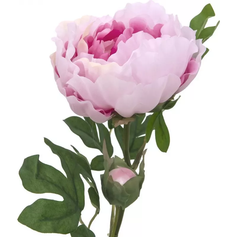 EUROPALMS Ramo de Peónia Classic, Planta Artificial, Rosa, 80 cm 82530210