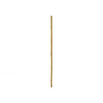 EUROPALMS Vara de Bambu, Ø 5 cm, 200 cm 83313201