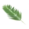 EUROPALMS Folhas de Palmeira de Coco, artificial, 110 cm, pack de 12 82509897