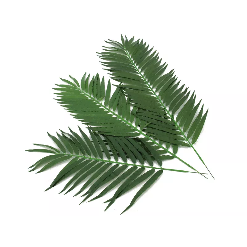 EUROPALMS Folhas de Palmeira de Coco, artificial, 110 cm, pack de 12 82509897