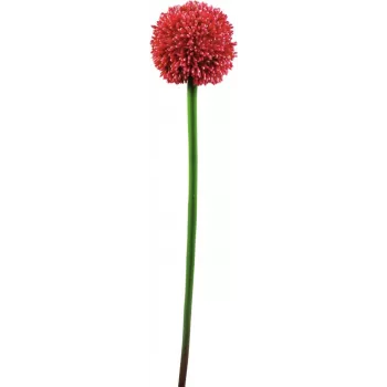 EUROPALMS Haste de Alho-Francês Artificial, Vermelho, 55 cm 82530568