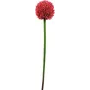 EUROPALMS Haste de Alho-Francês Artificial, Vermelho, 55 cm 82530568