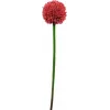 EUROPALMS Haste de Alho-Francês Artificial, Vermelho, 55 cm 82530568