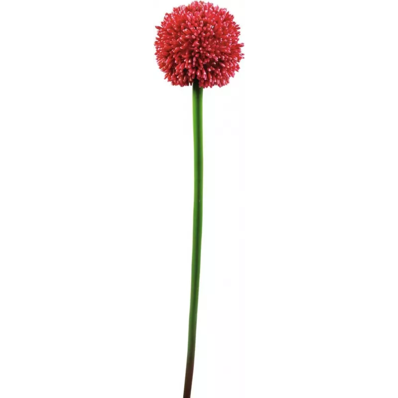 EUROPALMS Haste de Alho-Francês Artificial, Vermelho, 55 cm 82530568