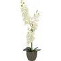 EUROPALMS Orquídea Planta Artificial, Creme, 80 cm 82530361