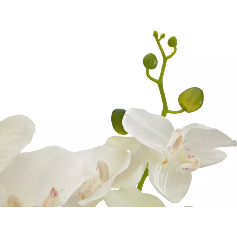 EUROPALMS Orquídea Planta Artificial, Creme, 80 cm 82530361