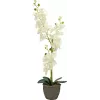 EUROPALMS Orquídea Planta Artificial, Creme, 80 cm 82530361