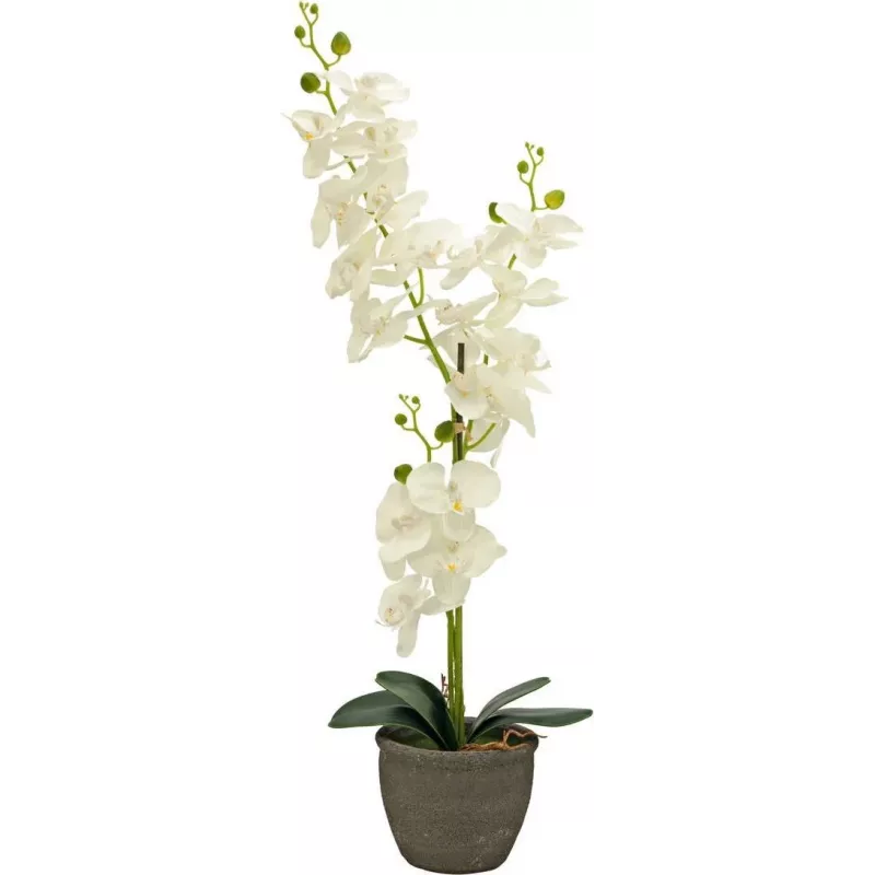 EUROPALMS Orquídea Planta Artificial, Creme, 80 cm 82530361
