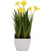EUROPALMS narciso artificial, 23 cm 82530542