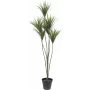 EUROPALMS Planta de Palmeira Yucca Artificial, 130 cm 82511552