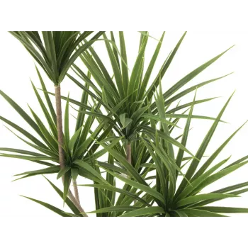 EUROPALMS Planta de Palmeira Yucca Artificial, 130 cm 82511552
