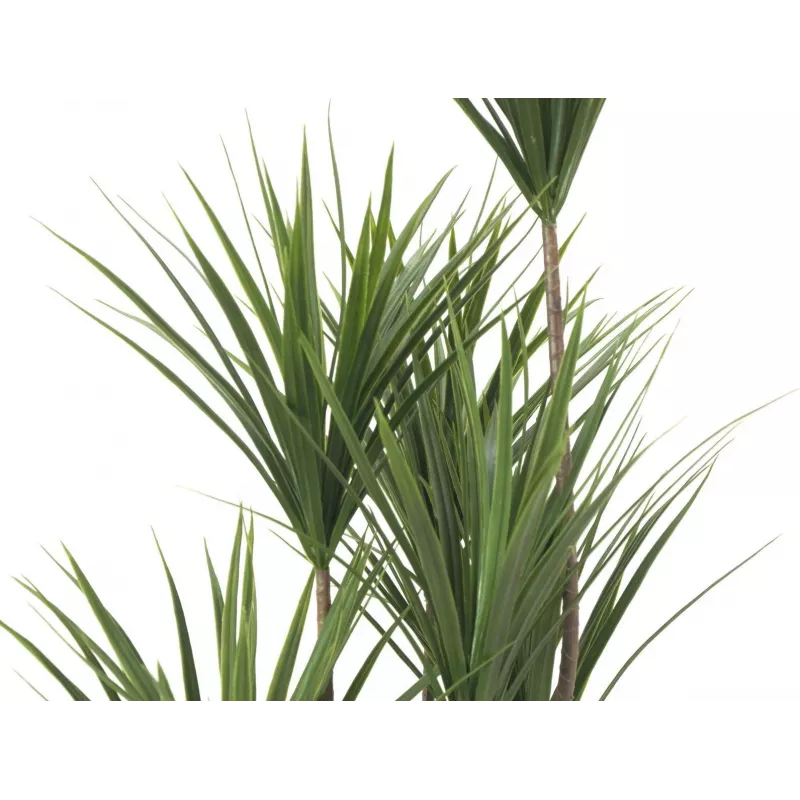 EUROPALMS Planta de Palmeira Yucca Artificial, 130 cm 82511552