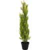 EUROPALMS Planta artificial cipreste Leyland, 90cm, vaso preto 82606962