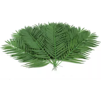 EUROPALMS Folhas artificiais de palmeira de coco, 90 cm, 12 unidades, verde 82509896