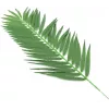 EUROPALMS Folhas artificiais de palmeira de coco, 90 cm, 12 unidades, verde 82509896