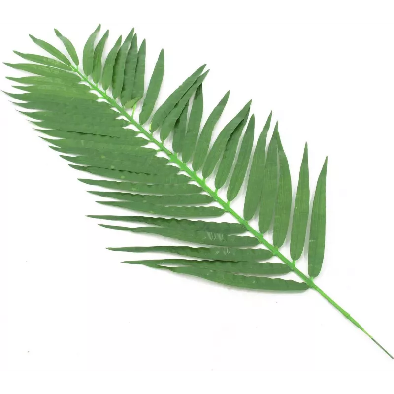 EUROPALMS Folhas artificiais de palmeira de coco, 90 cm, 12 unidades, verde 82509896