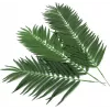 EUROPALMS Folhas artificiais de palmeira de coco, 90 cm, 12 unidades, verde 82509896
