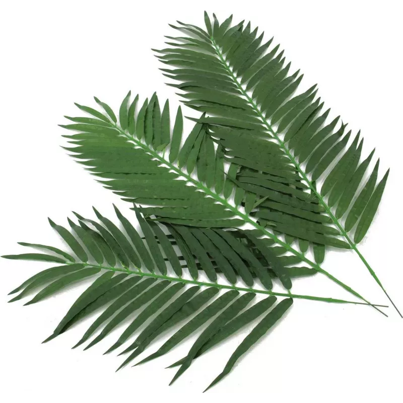 EUROPALMS Folhas artificiais de palmeira de coco, 90 cm, 12 unidades, verde 82509896