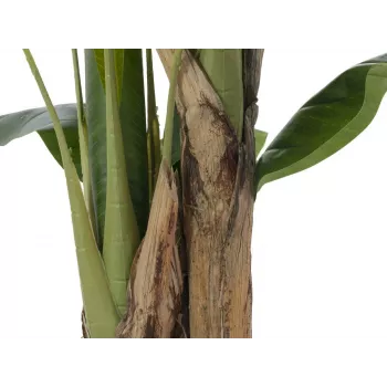 EUROPALMS Bananeira artificial, 120cm, folhas verdes realistas, vaso preto 82509537