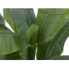 EUROPALMS Bananeira artificial, 120cm, folhas verdes realistas, vaso preto 82509537