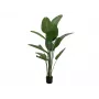 EUROPALMS estrelícia artificial, 170 cm 82540523