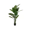 EUROPALMS estrelícia artificial, 170 cm 82540523