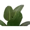EUROPALMS estrelícia artificial, 170 cm 82540523