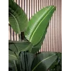 EUROPALMS estrelícia artificial, 170 cm 82540523