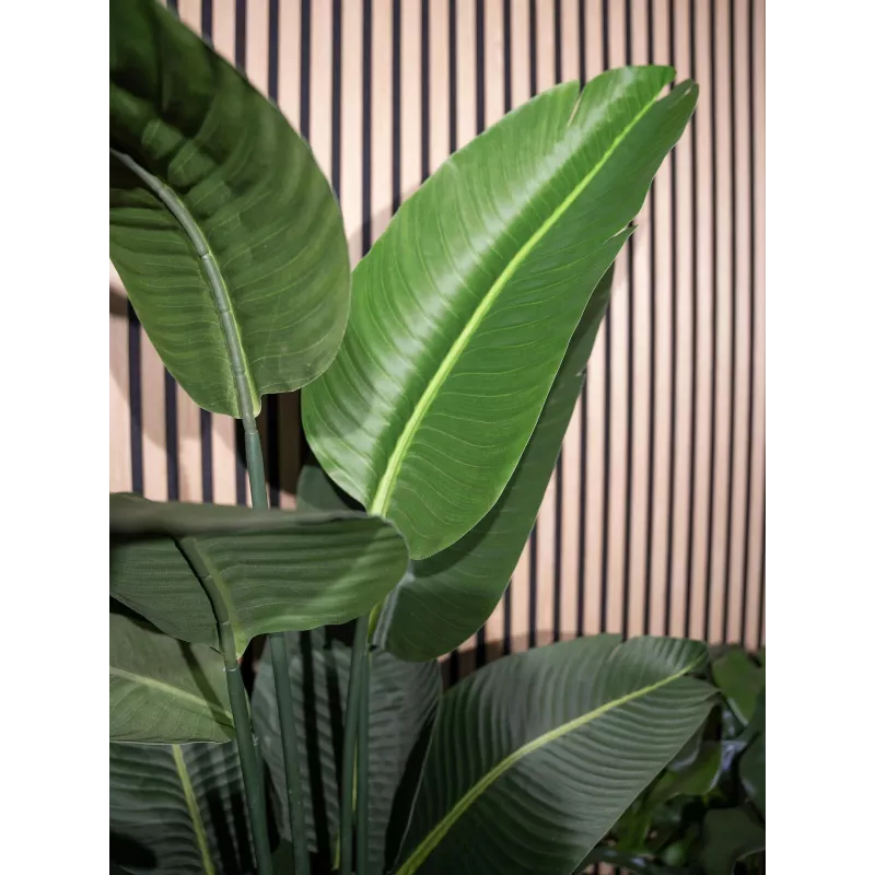 EUROPALMS estrelícia artificial, 170 cm 82540523