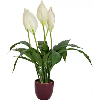EUROPALMS espatifilo artificial, 60 cm 82505660