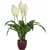 EUROPALMS espatifilo artificial, 60 cm 82505660