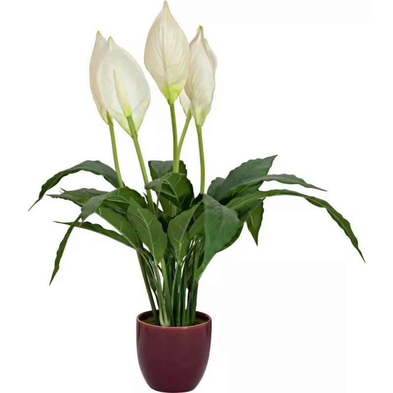 EUROPALMS espatifilo artificial, 60 cm 82505660