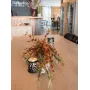 EUROPALMS Ramo de eucalipto artificial, laranja, 110 cm 82505621